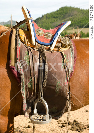 saddle on horse saddle on horse 7177100