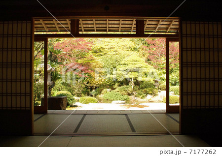 月照寺　和室 7177262