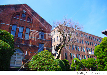 同志社大学 7177295