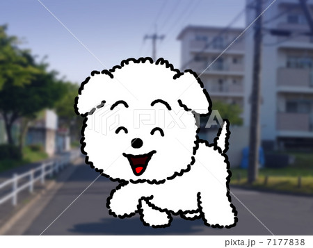 町を歩く犬 7177838