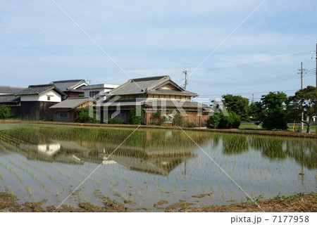 民家と水田（神戸市西区神出東） 7177958