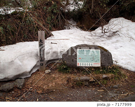 大日岳登山口（５月） 7177999