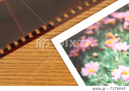 写真ライフ 7179045