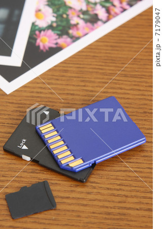 SDカードと写真 7179047