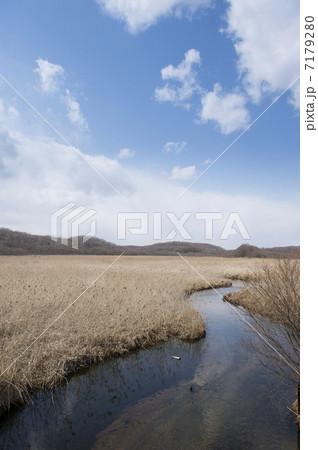湿原（ウトナイ湖周辺） 7179280