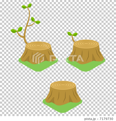 stump 7179730