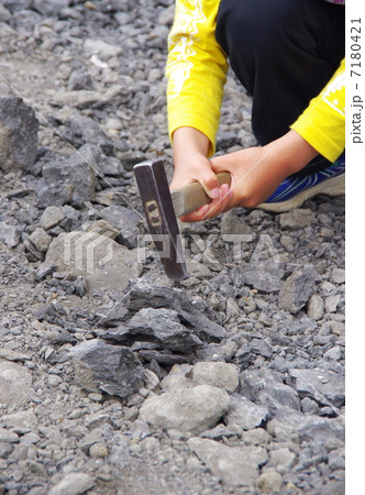 化石発掘 化石発掘 7180421