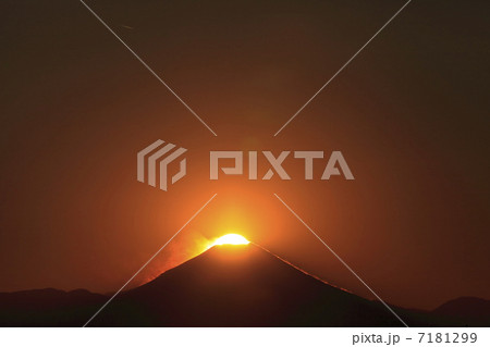 武蔵野の森からのダイヤモンド富士 7181299