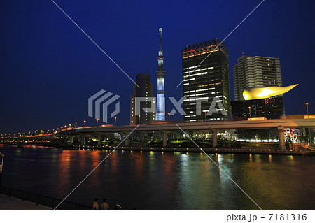 スカイツリーと隅田川の夜景 スカイツリーと隅田川の夜景 7181316