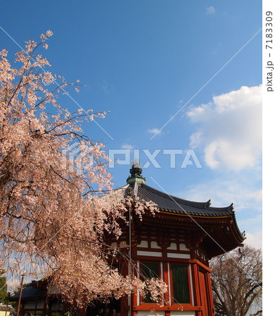 世界遺産　奈良　興福寺　南円堂 7183309