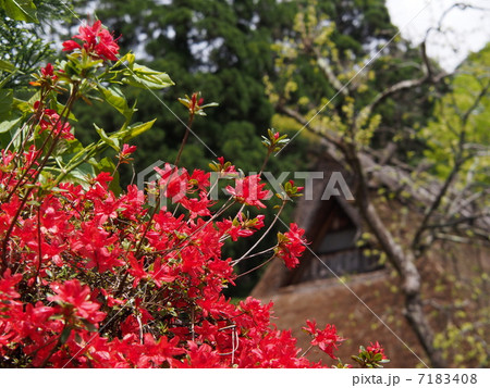 京都・かやぶきの里 京都・かやぶきの里 7183408