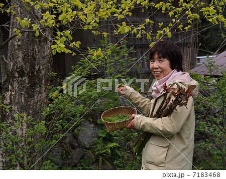 山菜採りをするシニア 7183468