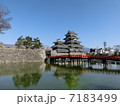 松本城 7183499