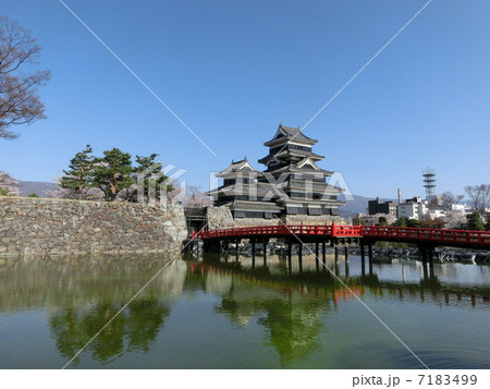松本城 7183499