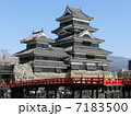 松本城 7183500
