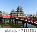 松本城 7183501
