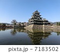 松本城 7183502