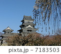 松本城 7183503