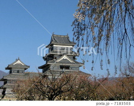 松本城 松本城 7183503