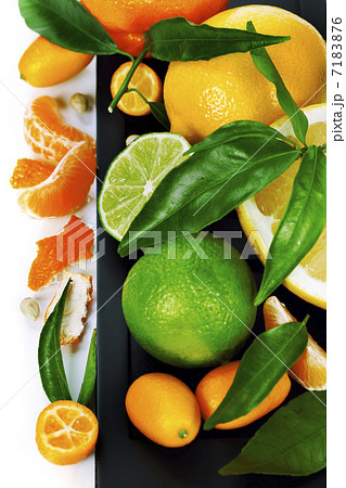 Citrus fruits border Citrus fruits border 7183876