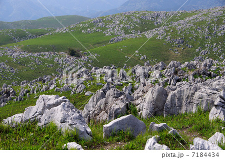 秋吉台 秋吉台 7184434