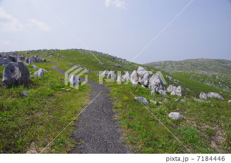 秋吉台の道 7184446