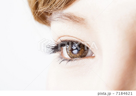 アイラッシュ 7184621