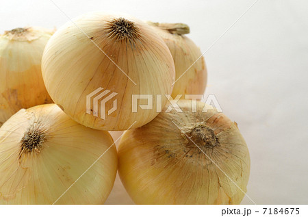 玉ねぎ 7184675