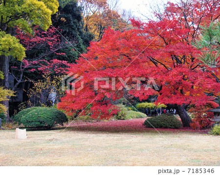 六義園 六義園 7185346