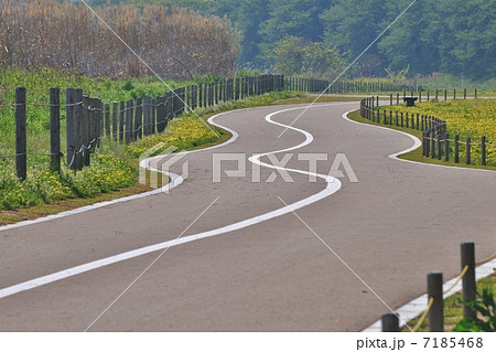 曲がりくねった道の写真素材 [7185468] - PIXTA