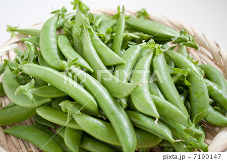 スナップえんどう 7190147