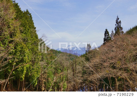 早春の風景・遠い雪山・横位置 7190229