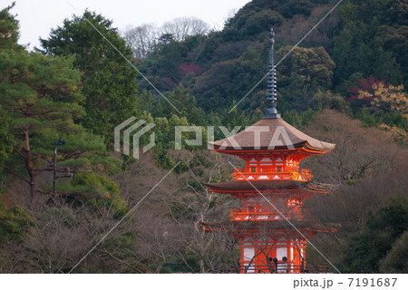 清水寺　子安の塔 7191687