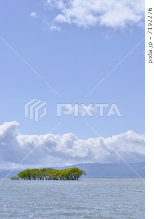 琵琶湖・湖北水鳥公園付近 琵琶湖・湖北水鳥公園付近 7192276