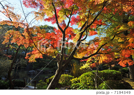 京都 城南宮の秋 京都 城南宮の秋 7194349