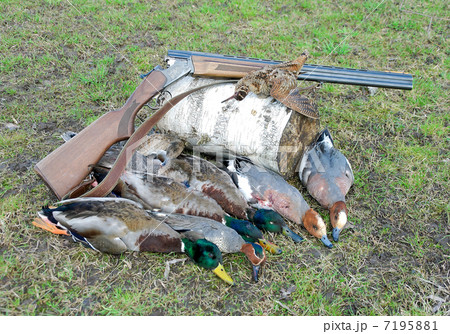 trophy hunter. ducks, woodcock and hunting rifle. trophy hunter. ducks, woodcock and hunting rifle. 7195881