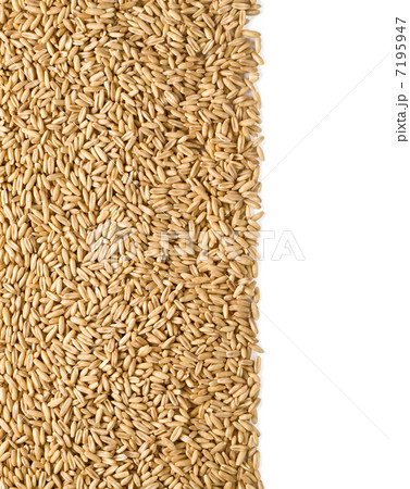 rye background rye background 7195947