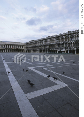 サンマルコ広場と鳩 7196775