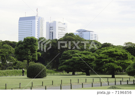 庭園 庭園 7196856