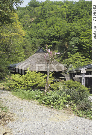 茅葺き屋根 7196982