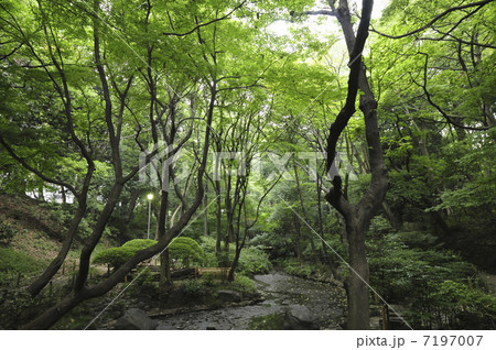 有栖川記念公園 7197007