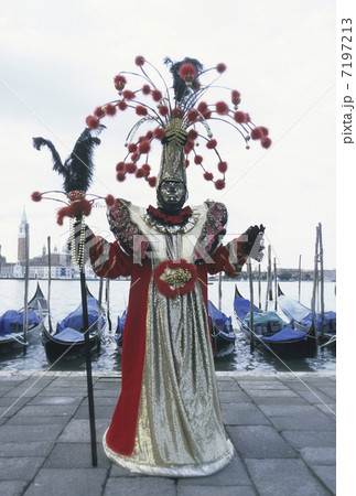 サンマルコ広場のカーニバル サンマルコ広場のカーニバル 7197213
