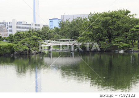 庭園 庭園 7197322