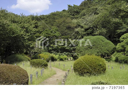 新江戸川公園 新江戸川公園 7197365