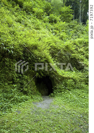 間歩の入口 7197392