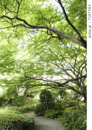 Tokyo garden garden garden museum - Stock Photo [7197464