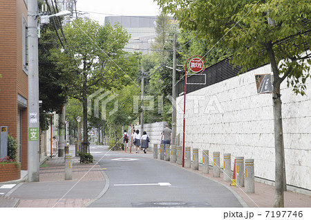 美術館前 美術館前 7197746