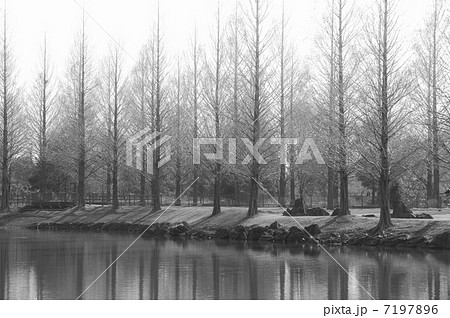 池のある風景 池のある風景 7197896