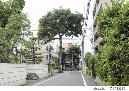 杉並区浜田山2丁目付近の住宅街 7198051