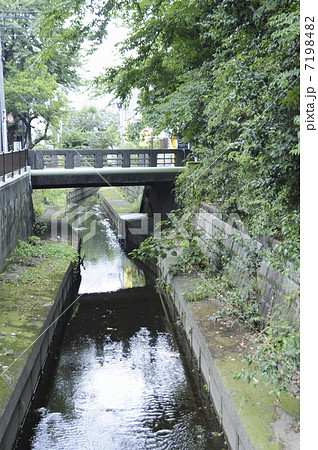 世田谷区瀬田の丸子川 7198482